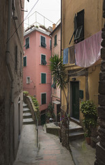 Old stone street decorated with green plants, Vernazza, Cinque Terre, Italy.