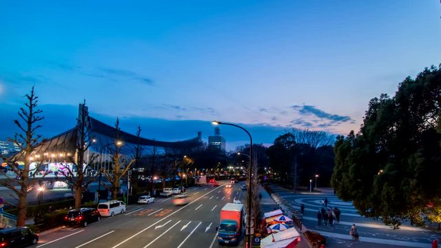 歩道橋から見渡す代々木公園の夜景