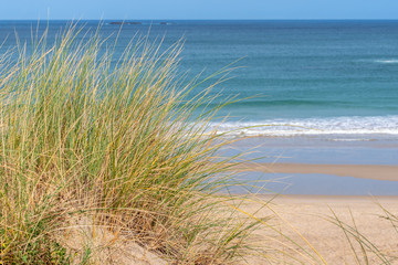 Fototapety  French landscape - Bretagne. View to the sea with dunes and grass in the foreground.