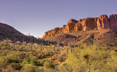 Arizona scenic desert landscape,USA