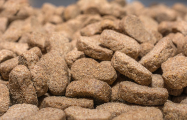 Pile of dry dog food with shallow depth of field
