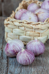 Bunch of garlic in the kitchen on wooden plate and baaket.