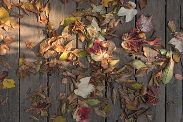 colorful autumn leaves on brown wooden planks