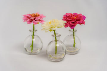 Studio photo of decorative artificial flowers on a white background.