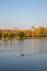 lake in autumn
