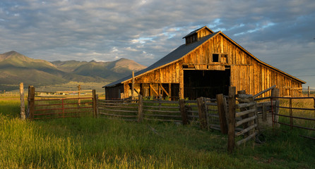old barn in field - Powered by Adobe