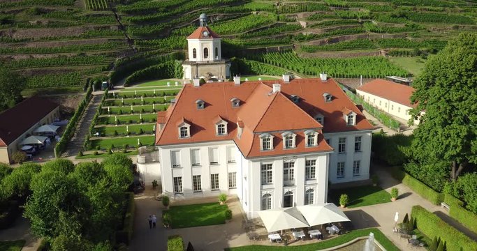 4K Drone aerial Castle Wackerbarth vine plantation