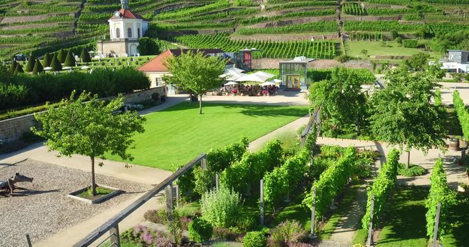 4K Drone aerial Castle Wackerbarth vine plantation