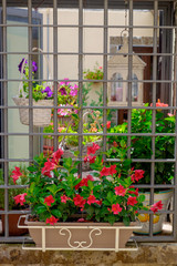 Fototapeta na wymiar Red flowers at a window of a house in Casertavecchia, Campania, Italy.