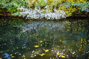 river in urban park in autumn day