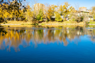 Fototapeta premium riverbank in urban park in sunny autumn day
