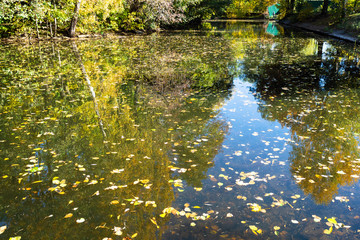 small river with fallen leaves in urban park