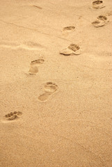 Fototapeta na wymiar Summer sea, diagonal line of human footprints on the shoreline, vertical background