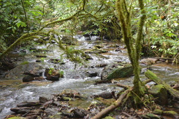 A natureza em suas diversas formas entre cachoeiras, cavernas e meio ambiente