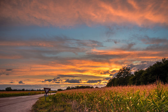 Road with traffic sign (french "Cedez le passage" translates to "give way) next to a corn field with beautiful sunset, somewhere on the road in France