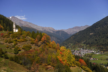Fototapeta na wymiar autunno panorama autunnale bosco montagna foglie alberi