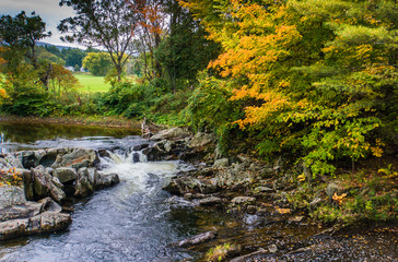 water flowing over rocky creek bed with golden hues of fall autumn foliage 