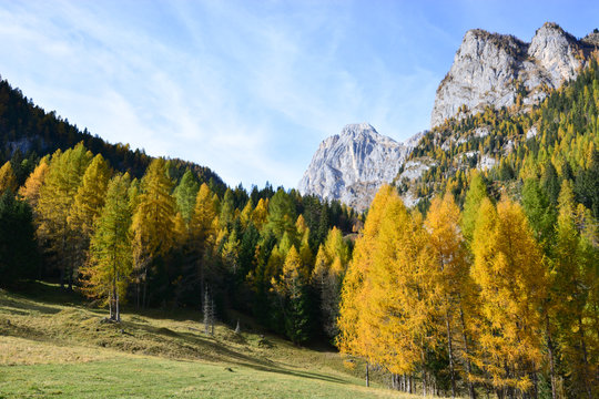 autumn in the Dolomiti