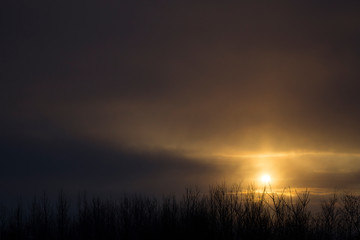 GEYSIR, ICELAND Winter sun emerging through clouds above bare trees.