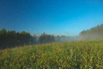 A foggy, sunny, beautiful autumnal morning