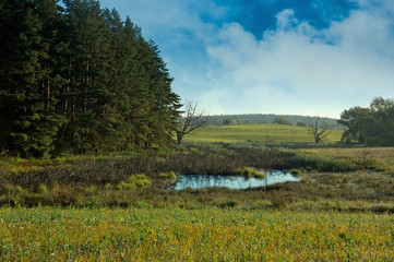 Landscape with meadows and a wild pond in autumn