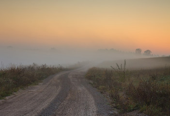 A foggy road among meadows at dawn