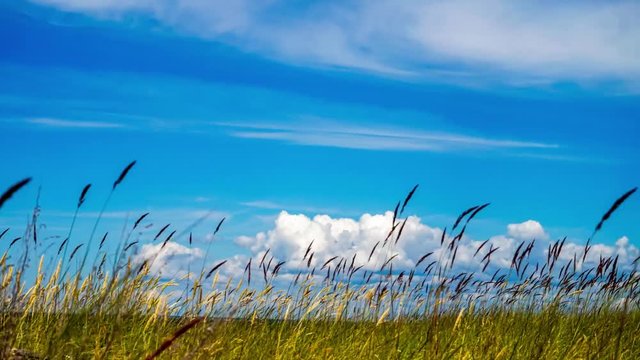 Timelapse of gorgeous fas moving clouds in green meadow landscape