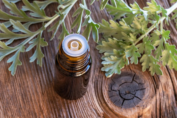 A bottle of wormwood essential oil with fresh wormwood plant