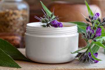 A jar of homemade comfrey root ointment with fresh symphytum plant