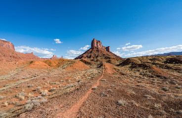 Fall colours in Crested Butte Colorado