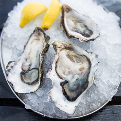 Fresh Oysters close-up on plate, served table with oysters, lemon and ice. Healthy sea food.