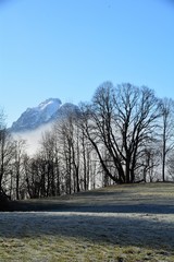 Bäume mit Bodennebel, im Gebirge