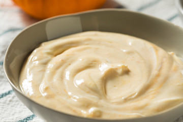 Healthy Organic Pumpkin Spice Yogurt