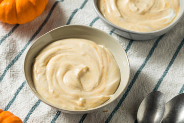 Healthy Organic Pumpkin Spice Yogurt