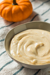 Healthy Organic Pumpkin Spice Yogurt