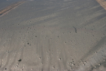 water drops on a foil