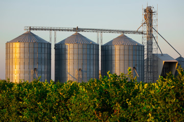 Agricultural Silo - Building Exterior, Storage and drying of grains, wheat, corn, soy, sunflower © batuhan toker