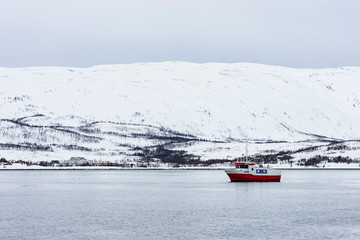 Norway. Norwegian fjord and shoreline with red and white fishing vessel sailing on it.