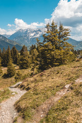 Fototapeta na wymiar Beautiful alpine view near the Piller lake - Tyrol - Austria