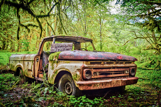Abandoned Ford pickup truck from 1963 decaying in the middle of a rainforest, Washington, USA