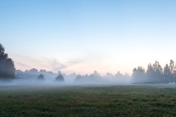 Summer landscape of dense fog early in the morning in the woods