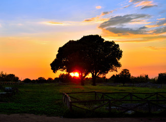 sunset in the valley of the ancient ruins of remains of religious buildings of the ancient Greek...