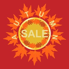 Vector illustration of autumn tree with yellowed maple leaves and oak