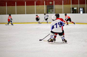 Sport for Kids. Young ice hockey players.