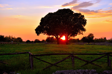 sunset in the valley of the ancient ruins of remains of religious buildings of the ancient Greek...