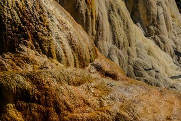 Mammoth Hot Springs