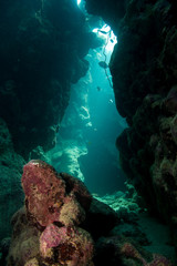 Fototapeta na wymiar Höhle in Aurora Bay Süd
