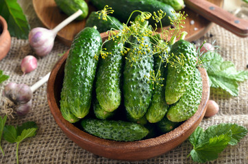 Fresh cucumbers in wooden bowl