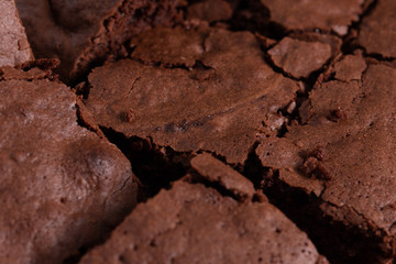 Baked home made chocolate brownie