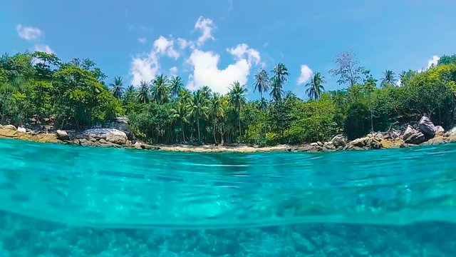 Half and half underwater shoot near the beach with turquoise water and green palm trees jungle. One half underwater with many coral reefs and second half is the beach with palms.